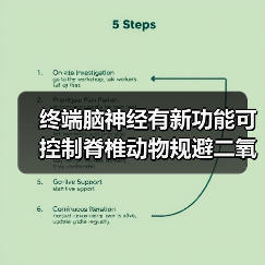 终端脑神经有新功能可控制脊椎动物规避二氧化碳(图4) 终端脑神经有新功能可控制脊椎动物规避二氧化碳(图4)