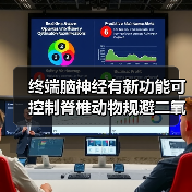 终端脑神经有新功能可控制脊椎动物规避二氧化碳(图1) 终端脑神经有新功能可控制脊椎动物规避二氧化碳(图1)