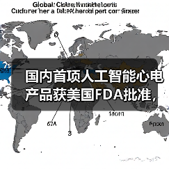 国内首项人工智能心电产品获美国FDA批准，究竟花落谁家？（图4）
