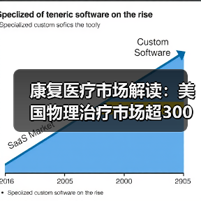 康复医疗市场解读：美国物理治疗市场超300亿美元，社区诊所为主要模式（图2）