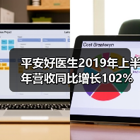 平安好医生2019年上半年营收同比增长102%，在线医疗强劲增长（图2）
