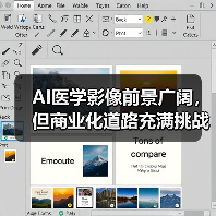 AI医学影像前景广阔，但商业化道路充满挑战（图4）
