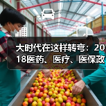 大时代在这样转弯：2018医药、医疗、医保政策回顾（图3）