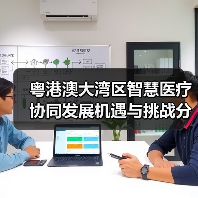 粤港澳大湾区智慧医疗协同发展机遇与挑战分析（图2）
