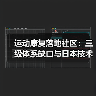 运动康复落地社区：三级体系缺口与日本技术革新（图4）