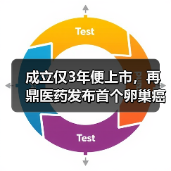 成立仅3年便上市，再鼎医药发布首个卵巢癌治疗产品（图1）