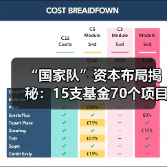 “国家队”资本布局揭秘：15支基金70个项目