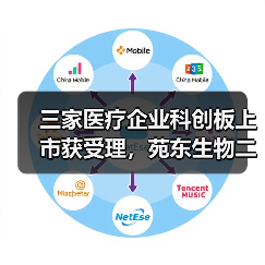 三家医疗企业科创板上市获受理，苑东生物二次闯关