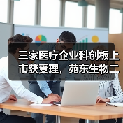 三家医疗企业科创板上市获受理,苑东生物二次闯关(图3) 三家医疗企业科创板上市获受理,苑东生物二次闯关(图3)