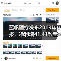 蓝帆医疗发布2019年年报,净利增41.41%至4.9亿元,心脑血管和防护业务稳增(图4) 蓝帆医疗发布2019年年报,净利增41.41%至4.9亿元,心脑血管和防护业务稳增(图4)