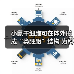 小鼠干细胞可在体外形成“类胚胎”结构 为科学界提供早期发育的细胞培养模型(图1) 小鼠干细胞可在体外形成“类胚胎”结构 为科学界提供早期发育的细胞培养模型(图1)
