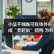 小鼠干细胞可在体外形成“类胚胎”结构 为科学界提供早期发育的细胞培养模型(图3) 小鼠干细胞可在体外形成“类胚胎”结构 为科学界提供早期发育的细胞培养模型(图3)