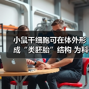 小鼠干细胞可在体外形成“类胚胎”结构 为科学界提供早期发育的细胞培养模型(图2) 小鼠干细胞可在体外形成“类胚胎”结构 为科学界提供早期发育的细胞培养模型(图2)