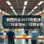 跨国药企2019财报速览：16家增长，仅两家营收下滑（图4）
