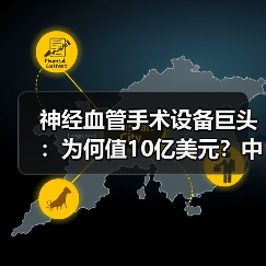 神经血管手术设备巨头:为何值10亿美元?中风治疗技术如何引领行业?(图1) 神经血管手术设备巨头:为何值10亿美元?中风治疗技术如何引领行业?(图1)