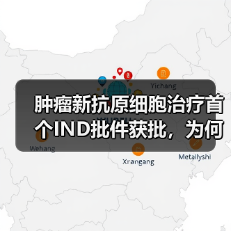 肿瘤新抗原细胞治疗首个IND批件获批,为何引发关注?(图4) 肿瘤新抗原细胞治疗首个IND批件获批,为何引发关注?(图4)