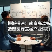 慢城提速!南京高淳智造型医疗器械产业集群如何崛起(图4) 慢城提速!南京高淳智造型医疗器械产业集群如何崛起(图4)
