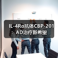 IL-4Rα抗体CBP-201:AD治疗新希望(图3) IL-4Rα抗体CBP-201:AD治疗新希望(图3)