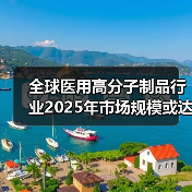 全球医用高分子制品行业2025年市场规模或达1344亿美元【深度解读】(图3) 全球医用高分子制品行业2025年市场规模或达1344亿美元【深度解读】(图3)
