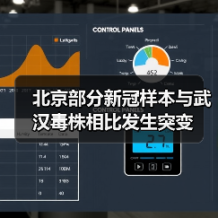 北京部分新冠样本与武汉毒株相比发生突变(图2) 北京部分新冠样本与武汉毒株相比发生突变(图2)