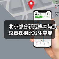北京部分新冠样本与武汉毒株相比发生突变(图4) 北京部分新冠样本与武汉毒株相比发生突变(图4)
