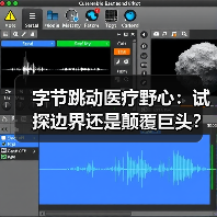 字节跳动医疗野心：试探边界还是颠覆巨头？（图4）