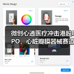 微创心通医疗冲击港股IPO，心脏瓣膜器械赛道如何突围？（图2）