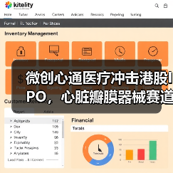 微创心通医疗冲击港股IPO，心脏瓣膜器械赛道如何突围？（图4）