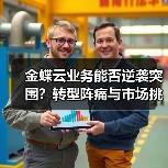 金蝶云业务能否逆袭突围？转型阵痛与市场挑战（图1）