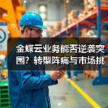金蝶云业务能否逆袭突围？转型阵痛与市场挑战（图2）