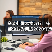 资本扎堆宠物诊疗!头部企业为何成2020年热门赛道?(图4) 资本扎堆宠物诊疗!头部企业为何成2020年热门赛道?(图4)