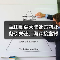 武田剥离大陆处方药业务引关注,海森接盘背后的去杠杆策略(图2) 武田剥离大陆处方药业务引关注,海森接盘背后的去杠杆策略(图2)