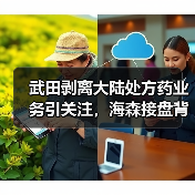 武田剥离大陆处方药业务引关注,海森接盘背后的去杠杆策略(图3) 武田剥离大陆处方药业务引关注,海森接盘背后的去杠杆策略(图3)