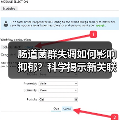 肠道菌群失调如何影响抑郁?科学揭示新关联(图4) 肠道菌群失调如何影响抑郁?科学揭示新关联(图4)