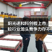 阳光诺和科创板上市,较行业龙头竞争力存不足(图1) 阳光诺和科创板上市,较行业龙头竞争力存不足(图1)