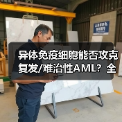 异体免疫细胞能否攻克复发/难治性AML?全球首药或现(图4) 异体免疫细胞能否攻克复发/难治性AML?全球首药或现(图4)