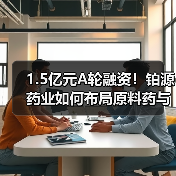 1.5亿元A轮融资！铂源药业如何布局原料药与医药中间体市场？（图3）