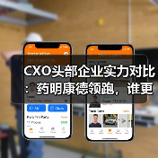 CXO头部企业实力对比:药明康德领跑,谁更具备成长潜力?(图3) CXO头部企业实力对比:药明康德领跑,谁更具备成长潜力?(图3)