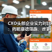 CXO头部企业实力对比:药明康德领跑,谁更具备成长潜力?(图4) CXO头部企业实力对比:药明康德领跑,谁更具备成长潜力?(图4)