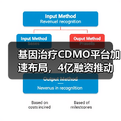 基因治疗CDMO平台加速布局,4亿融资推动产能升级(图2) 基因治疗CDMO平台加速布局,4亿融资推动产能升级(图2)