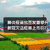 肺炎疫苗批签发量攀升 新冠灭活疫苗上市引行业变革(图2) 肺炎疫苗批签发量攀升 新冠灭活疫苗上市引行业变革(图2)
