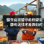 强生疫苗暂停血栓疑云,康希诺技术差异如何保障安全?(图4) 强生疫苗暂停血栓疑云,康希诺技术差异如何保障安全?(图4)