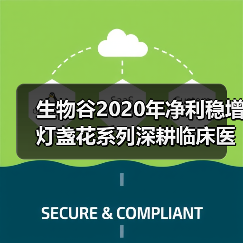 生物谷2020年净利稳增 灯盏花系列深耕临床医学价值（图3）