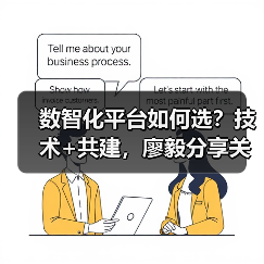 数智化平台如何选？技术+共建，廖毅分享关键思路（图4）