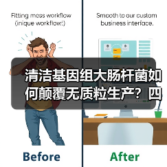 清洁基因组大肠杆菌如何颠覆无质粒生产?四大应用场景揭秘(图1) 清洁基因组大肠杆菌如何颠覆无质粒生产?四大应用场景揭秘(图1)