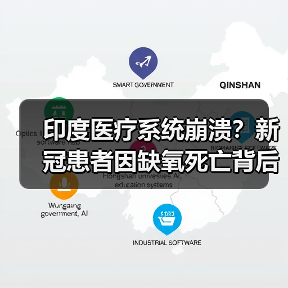 印度医疗系统崩溃?新冠患者因缺氧死亡背后真相(图3) 印度医疗系统崩溃?新冠患者因缺氧死亡背后真相(图3)