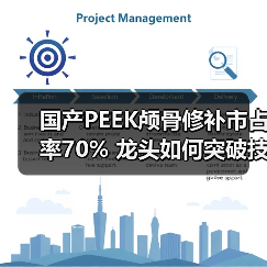 国产PEEK颅骨修补市占率70% 龙头如何突破技术瓶颈?(图3) 国产PEEK颅骨修补市占率70% 龙头如何突破技术瓶颈?(图3)
