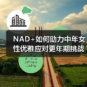 NAD+如何助力中年女性优雅应对更年期挑战(图3) NAD+如何助力中年女性优雅应对更年期挑战(图3)