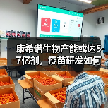 康希诺生物产能或达5-7亿剂,疫苗研发如何突破?(图1) 康希诺生物产能或达5-7亿剂,疫苗研发如何突破?(图1)