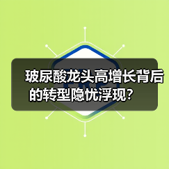 玻尿酸龙头高增长背后的转型隐忧浮现?(图4) 玻尿酸龙头高增长背后的转型隐忧浮现?(图4)